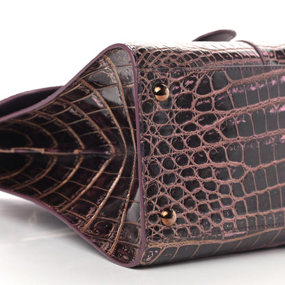 Delvaux Metallic Crocodile MM Brillant Satchel Plum Lavender 6 of 10