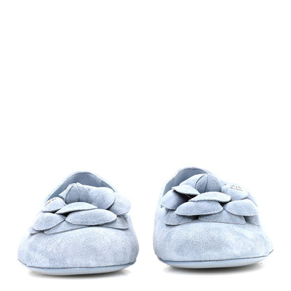 Chanel Suede Cap Toe Camellia Ballerina Flats 36 Light Blue 3 of 8