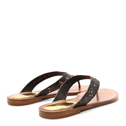Louis Vuitton Monogram Sunny Flat Thong Sandals 39 Brown 5 of 9