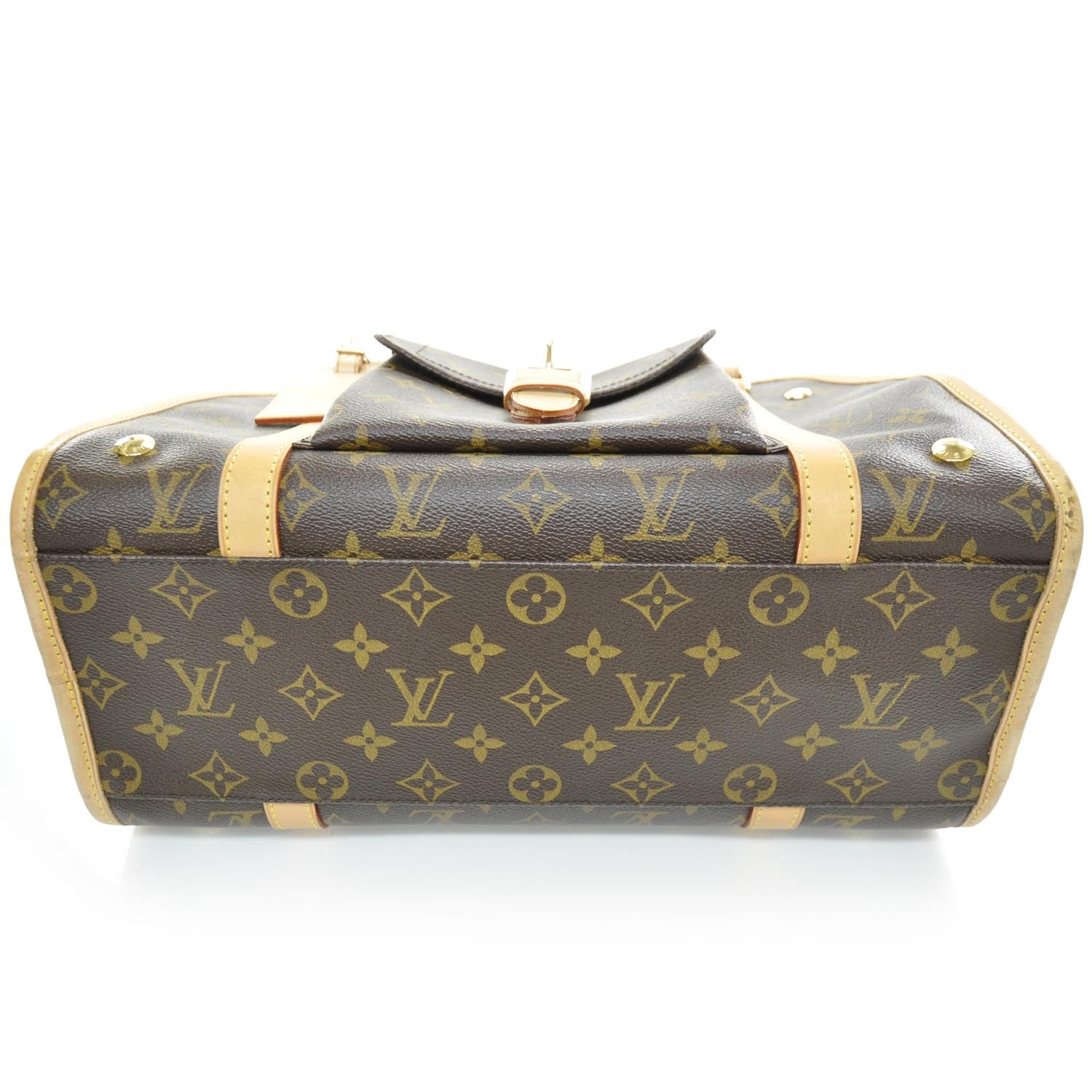 Louis Vuitton Monogram Baxter PM Dog Pet Carrier 4 of 8