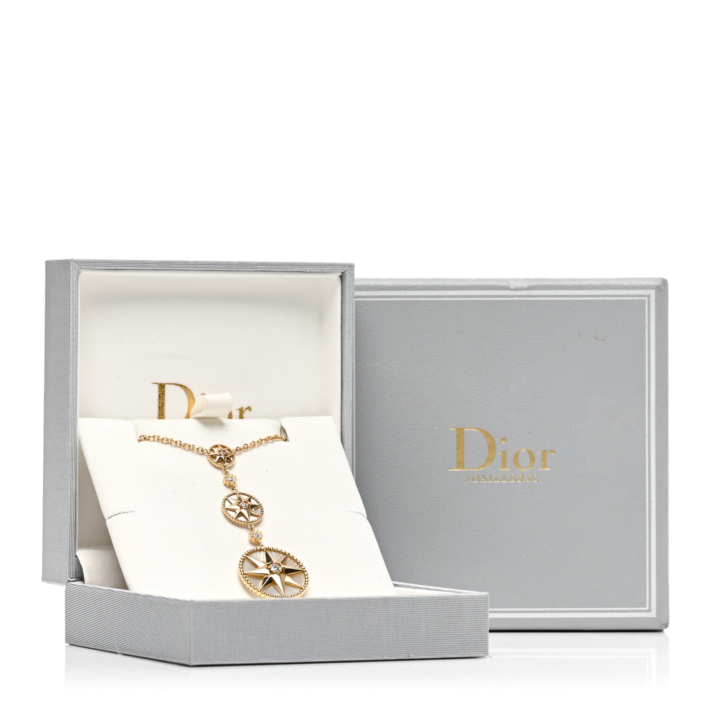 18K Yellow Gold Diamond Mother of Pearl Rose Des Vents Long Necklace