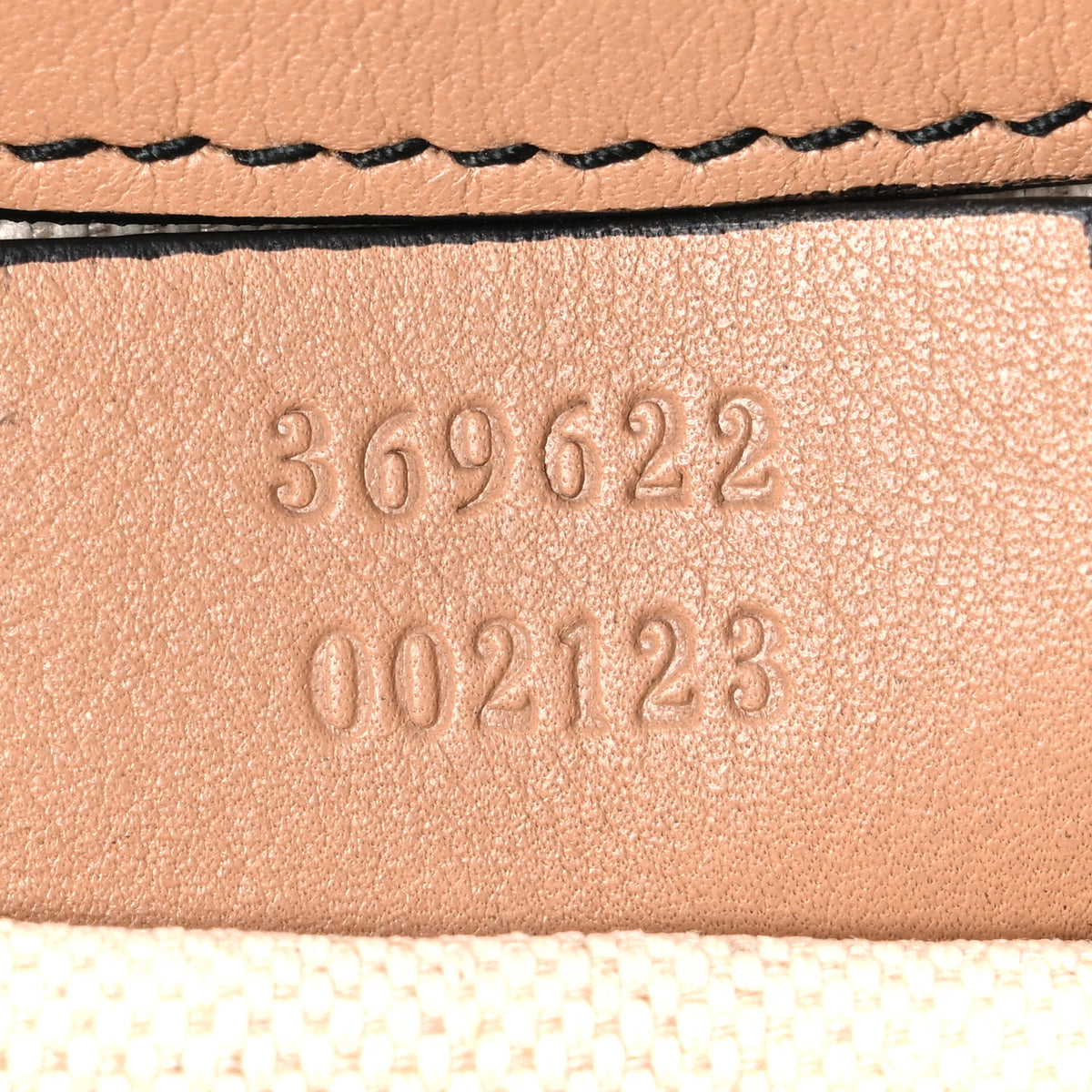 Guccissima Mini Emily Chain Shoulder Bag Camelia