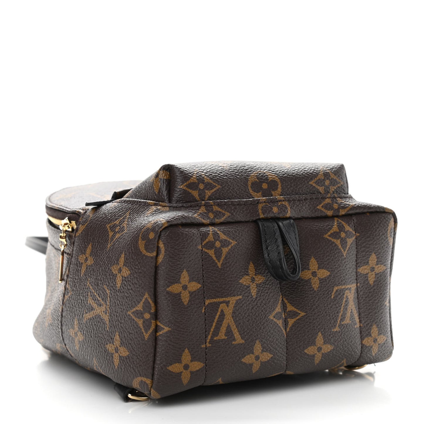 Monogram Palm Springs Backpack Mini