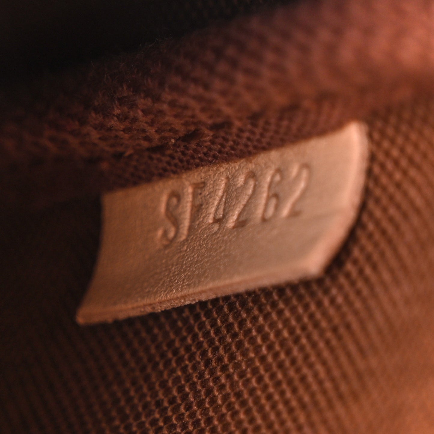 Monogram Mini Pochette Accessories