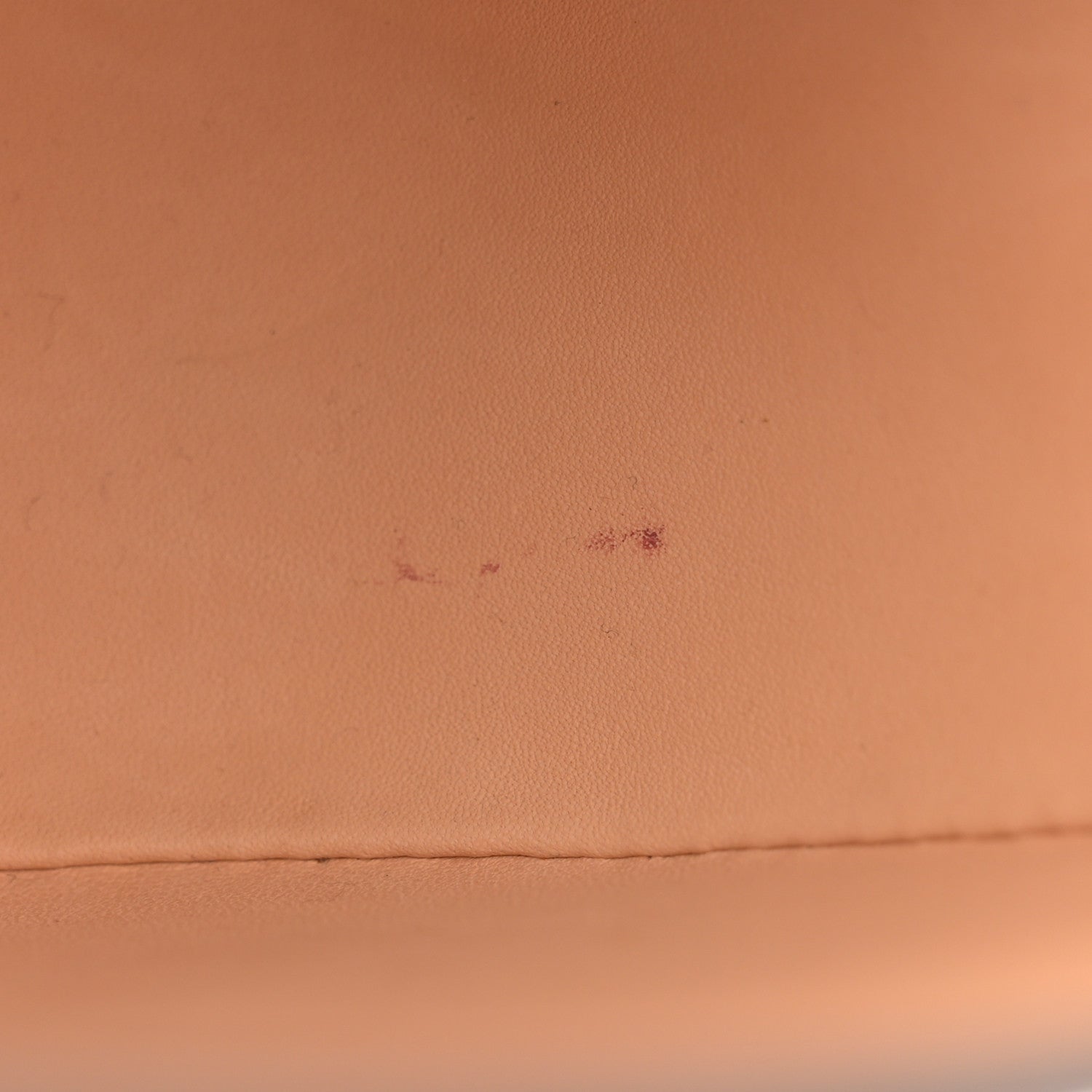 Moynat Taurillon Blush Flori PM Atlas 11 of 13