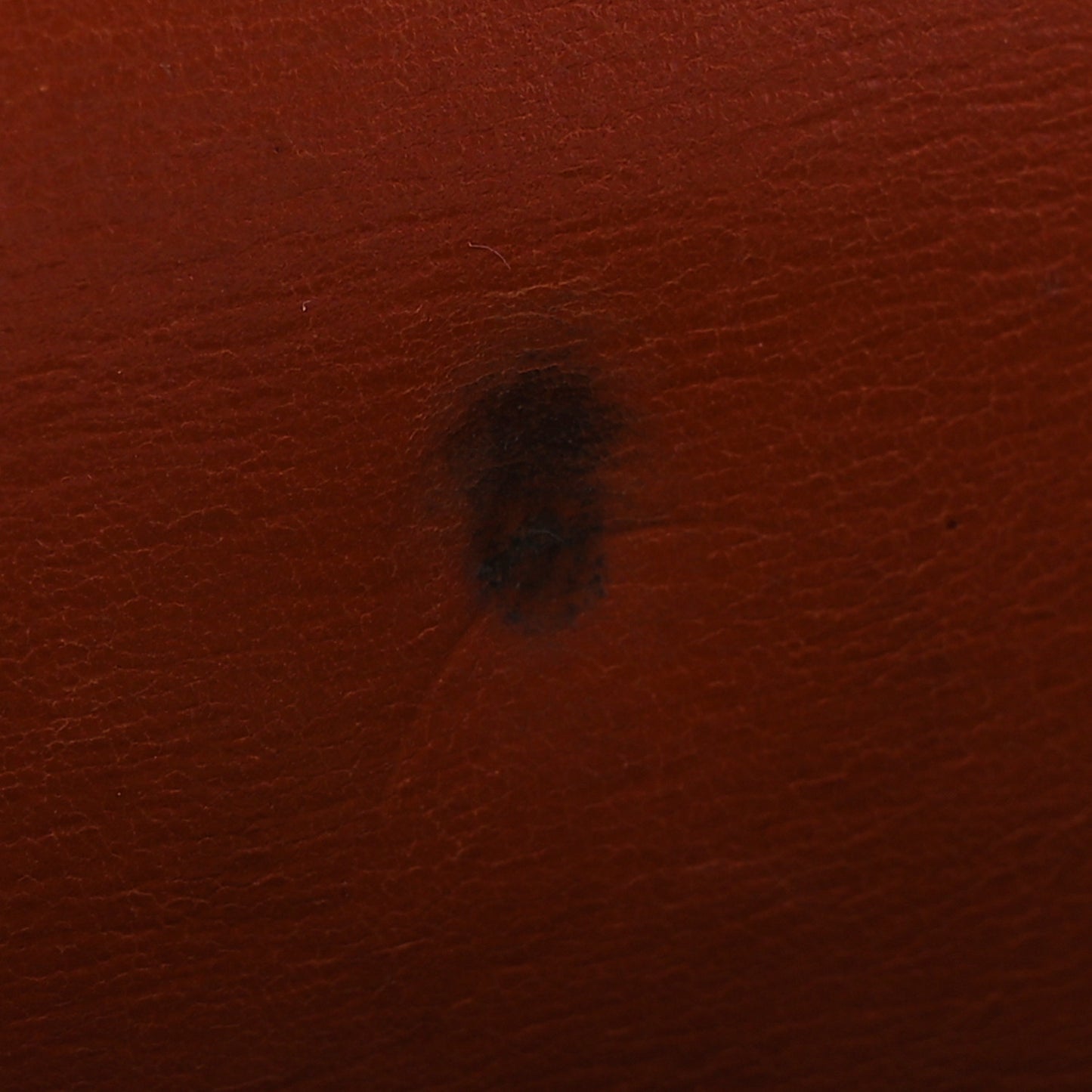 Epi Porte Tresor International Wallet Cipango