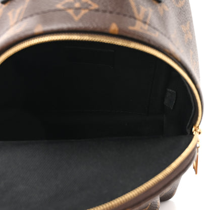 Louis Vuitton Monogram Palm Springs Backpack Mini 5 of 11