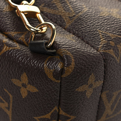 Louis Vuitton Monogram Palm Springs Backpack Mini 11 of 13