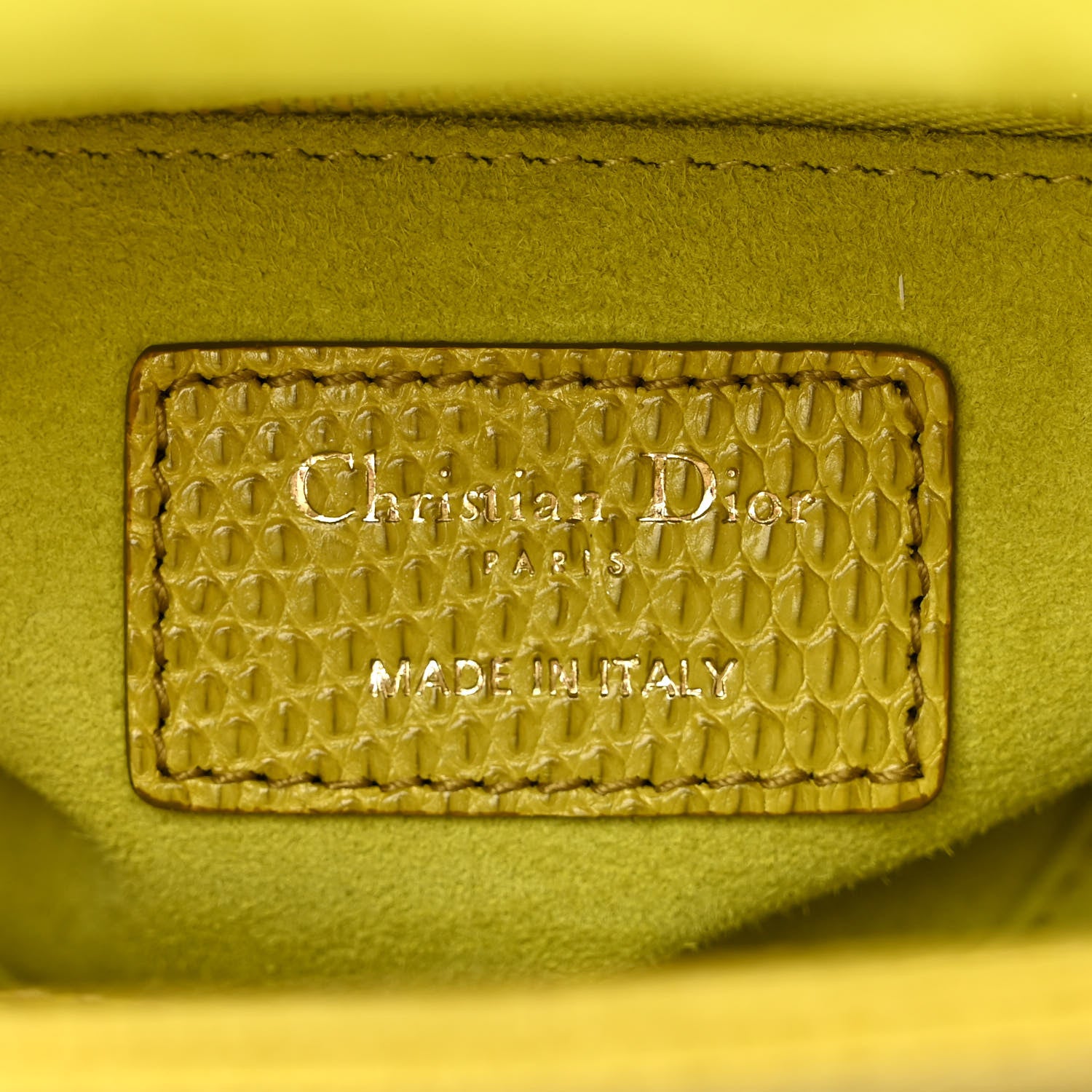 Christian Dior Lizard Gradient Mini Lady Dior Yellow Dark Green 6 of 10