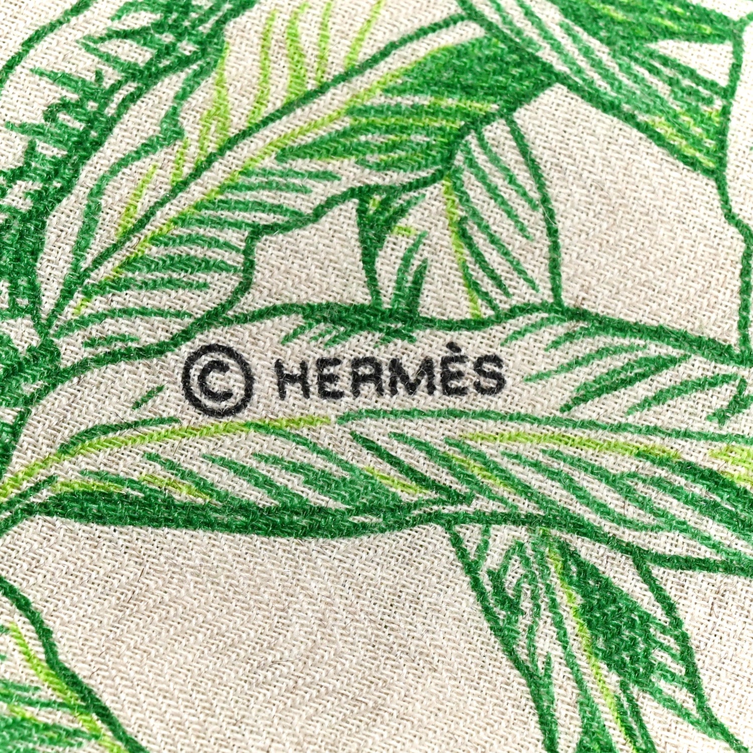 Hermes Cashmere Silk All 'Orto Botanico Di Palermo Shawl 140 Vert