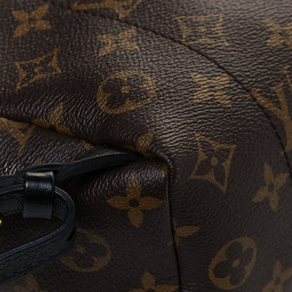 Louis Vuitton Monogram Palm Springs Backpack PM 13 of 15