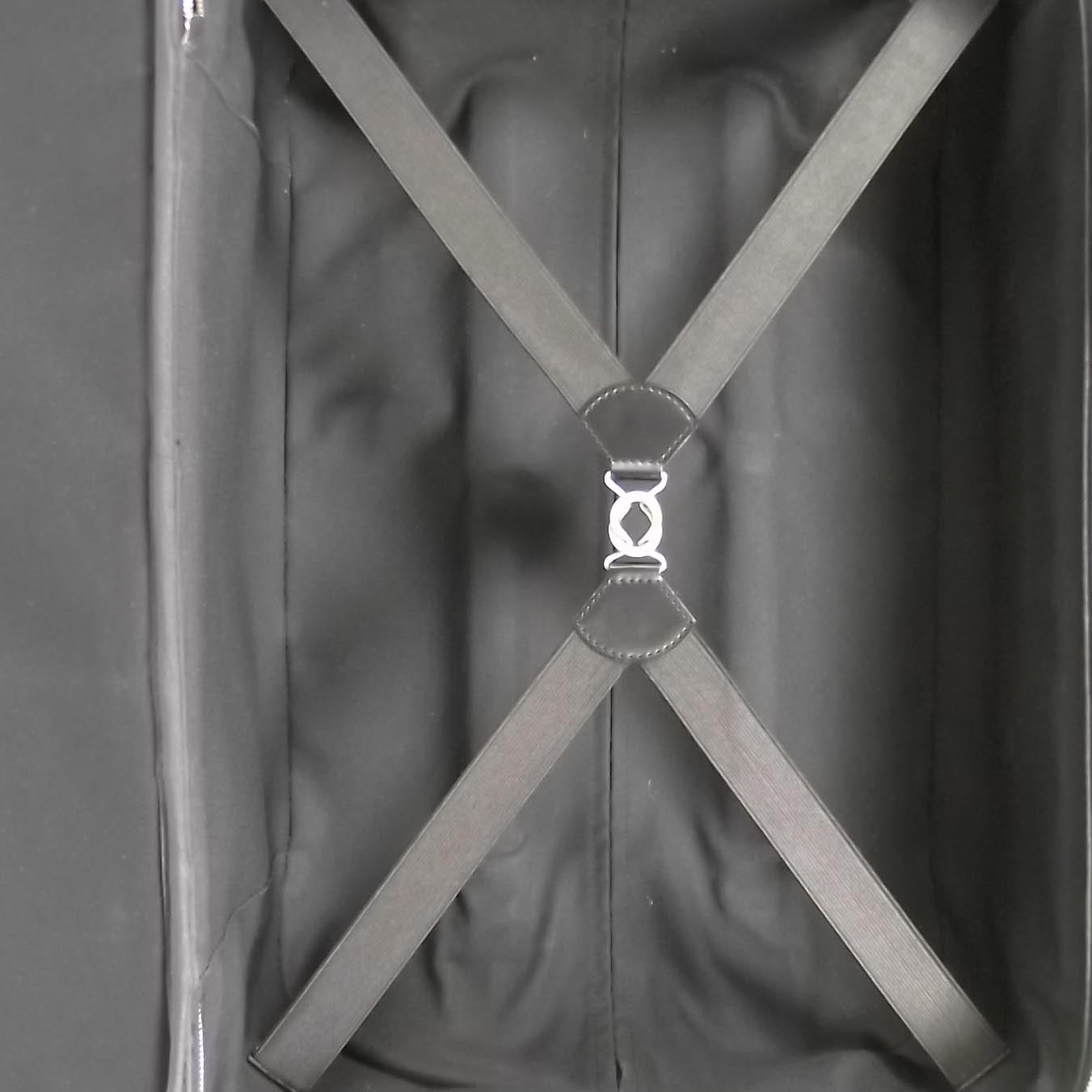 Louis Vuitton Taiga Pegase 55 Rolling Luggage 12 of 13