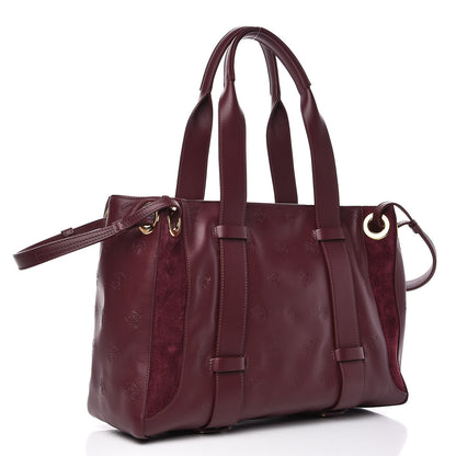 Chloe Smooth Calfskin Embossed Tao Zipped Tote Burnt Brown 3 of 9