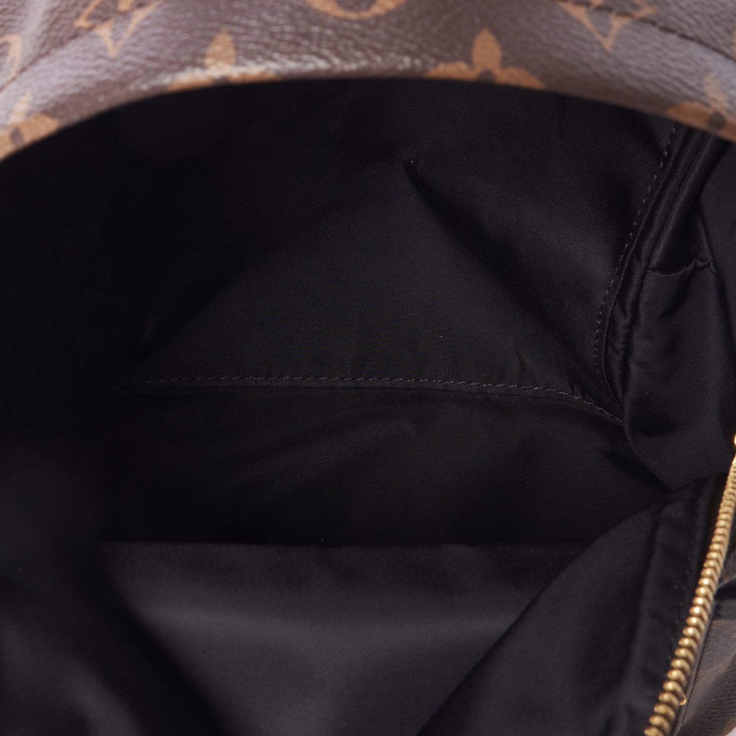 Monogram Palm Springs Backpack PM