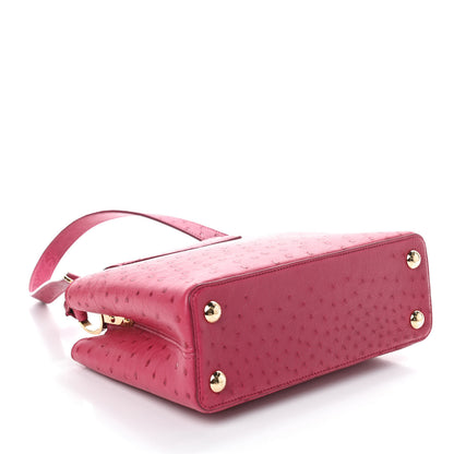 Louis Vuitton Ostrich Capucines BB Berry 4 of 9
