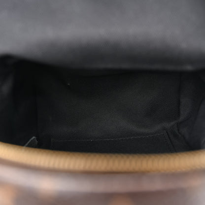 Louis Vuitton Monogram Palm Springs Backpack Mini 5 of 11