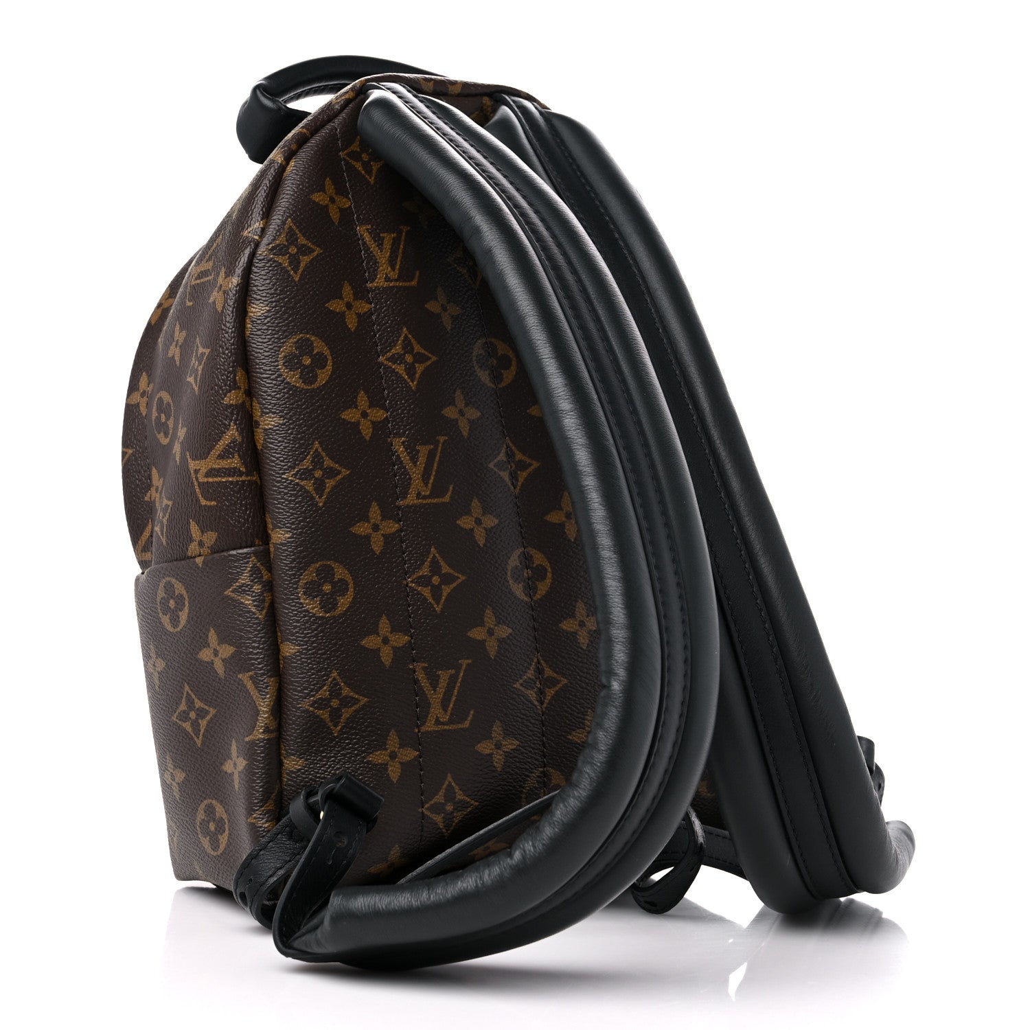 Louis Vuitton Monogram Palm Springs Backpack PM 3 of 8
