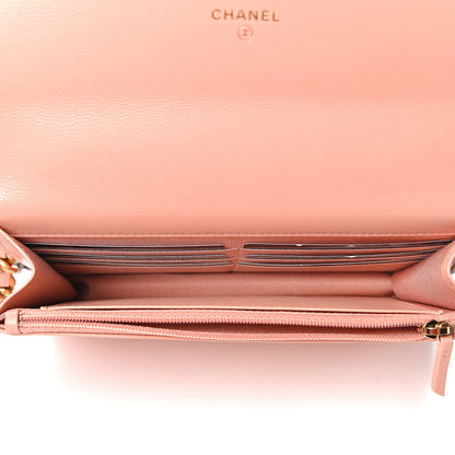 Chanel Goatskin Quilted 19 Wallet On Chain WOC Rose Clair 6 of 11