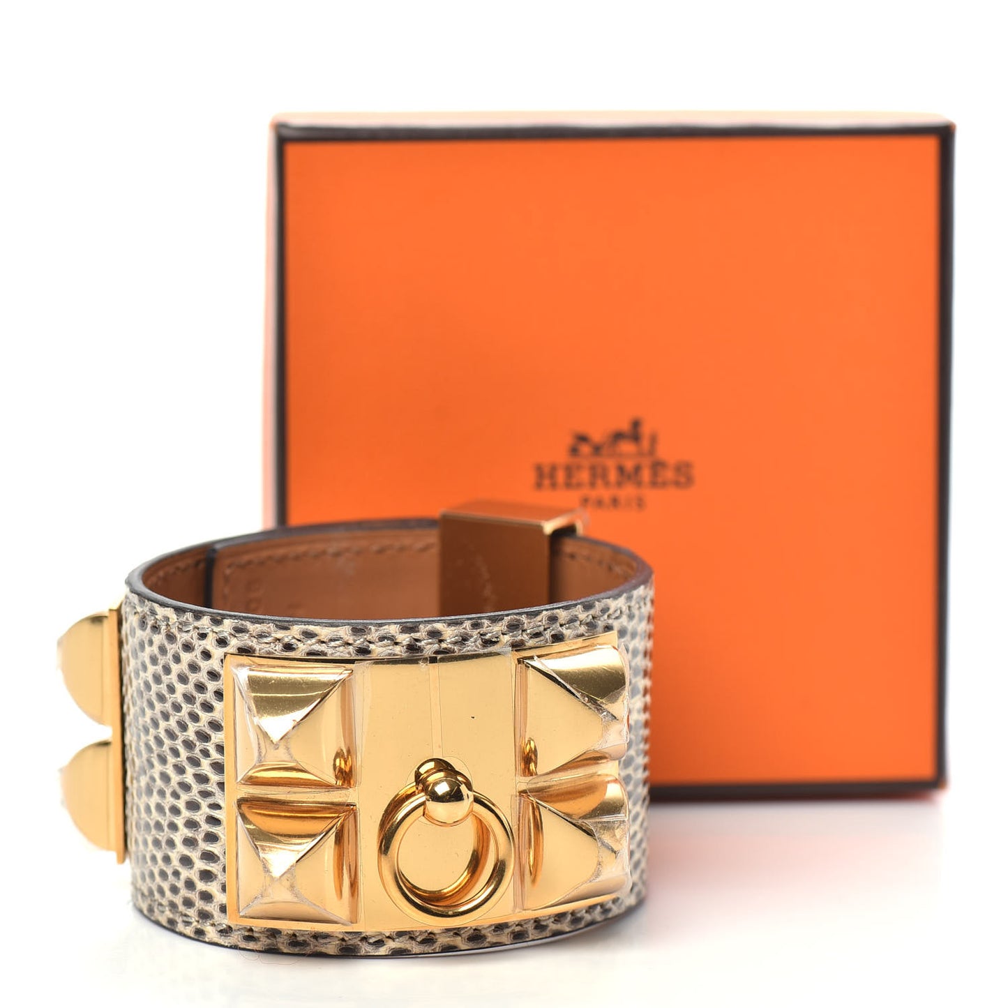 Lizard Collier De Chien CDC Bracelet T2 Ombre