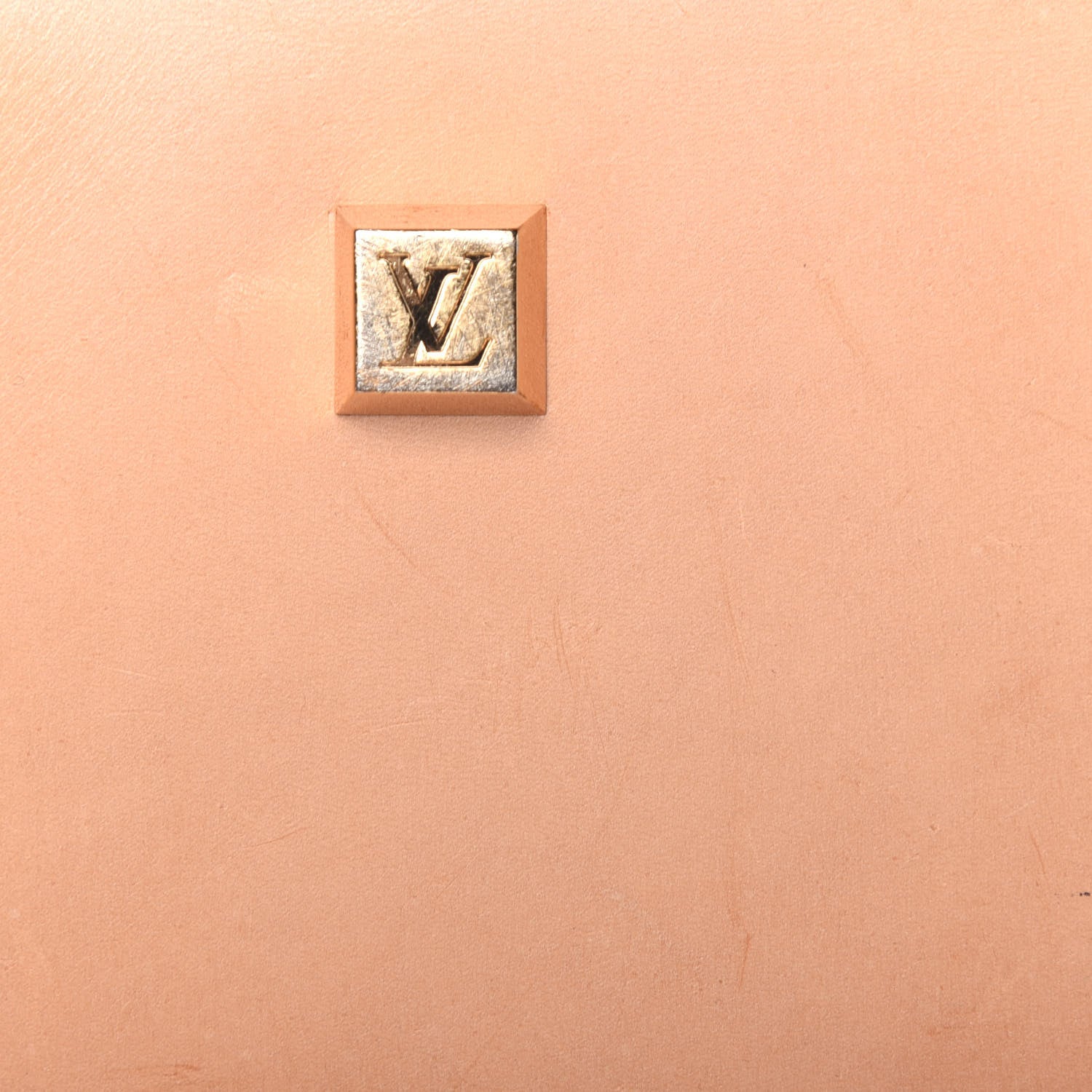 Louis Vuitton Vinyl Cabas Sac Ambre GM 24 of 31