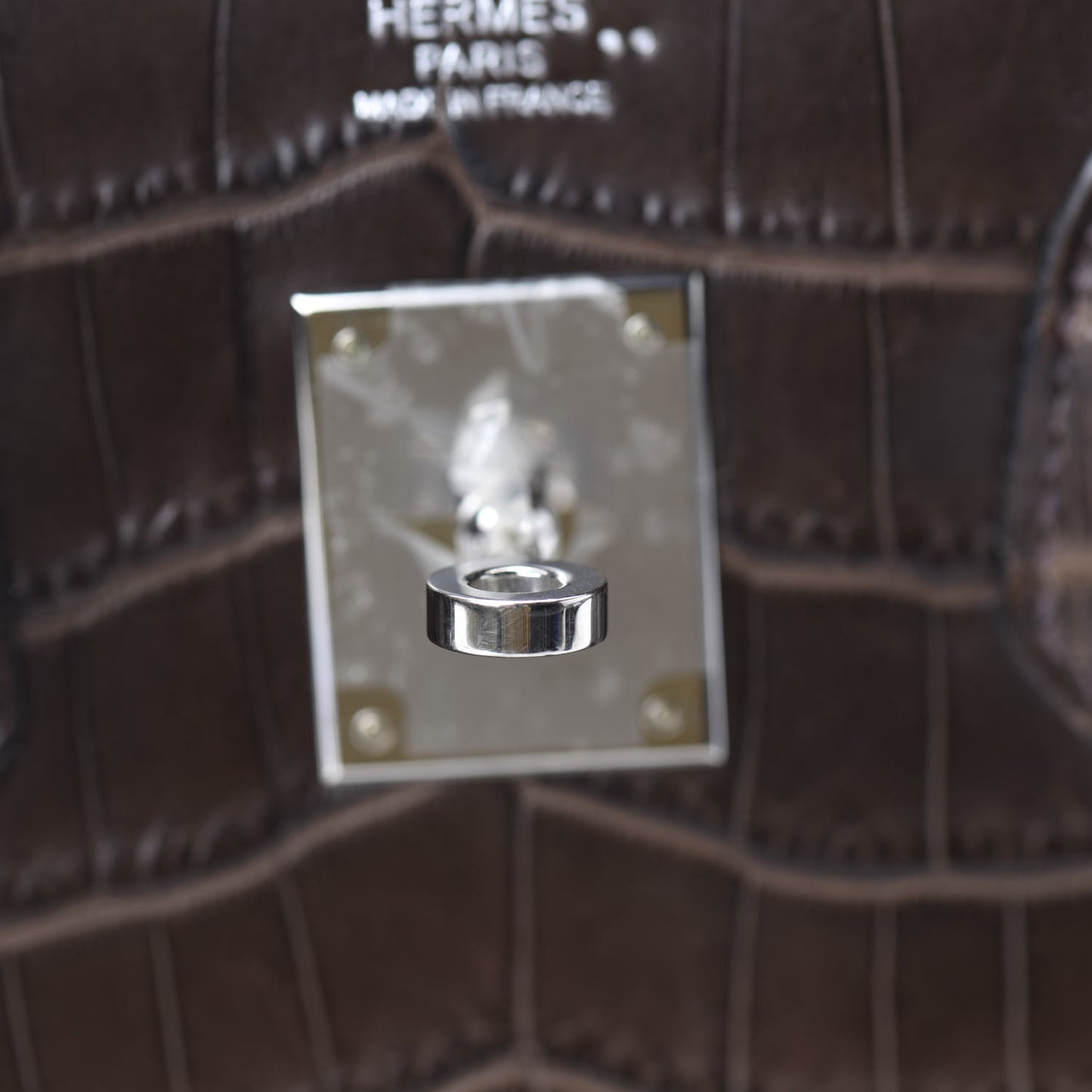 Matte Niloticus Crocodile Birkin 30 Gris Elephant