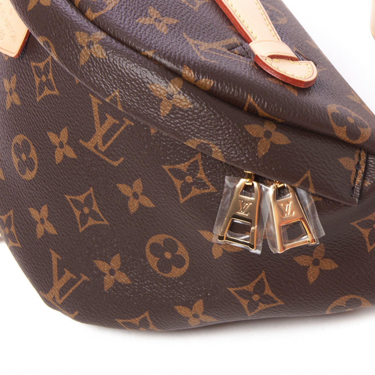 Louis Vuitton Monogram Bumbag 4 of 9