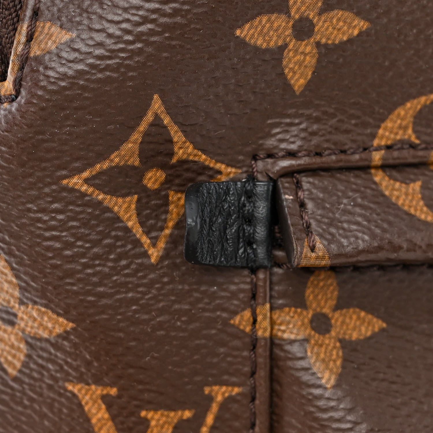 Louis Vuitton Monogram Palm Springs Backpack MM 12 of 14