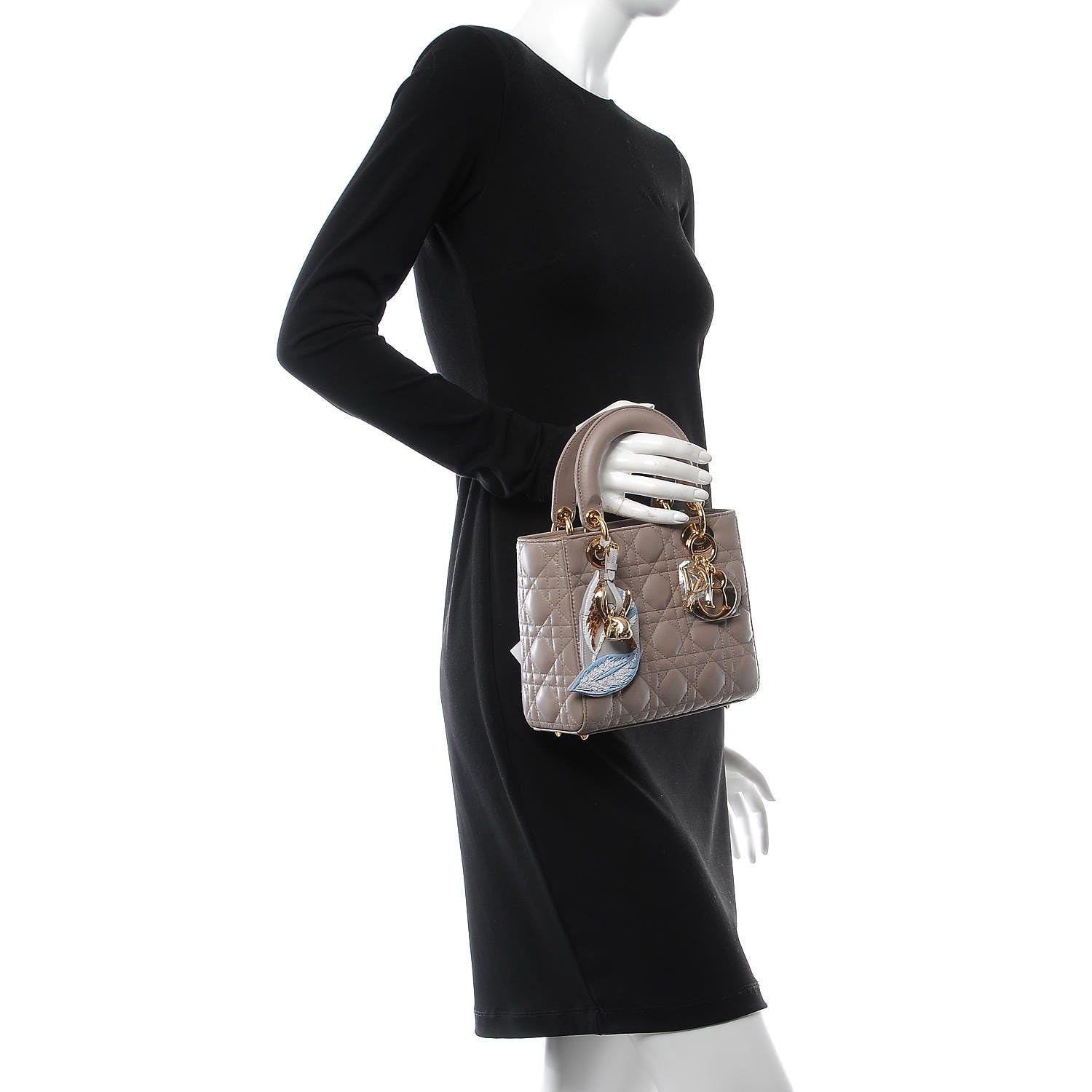 Christian Dior Lambskin Cannage Small Jeweled Swan Lady Dior Taupe 3 of 9