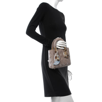 Christian Dior Lambskin Cannage Small Jeweled Swan Lady Dior Taupe 3 of 9