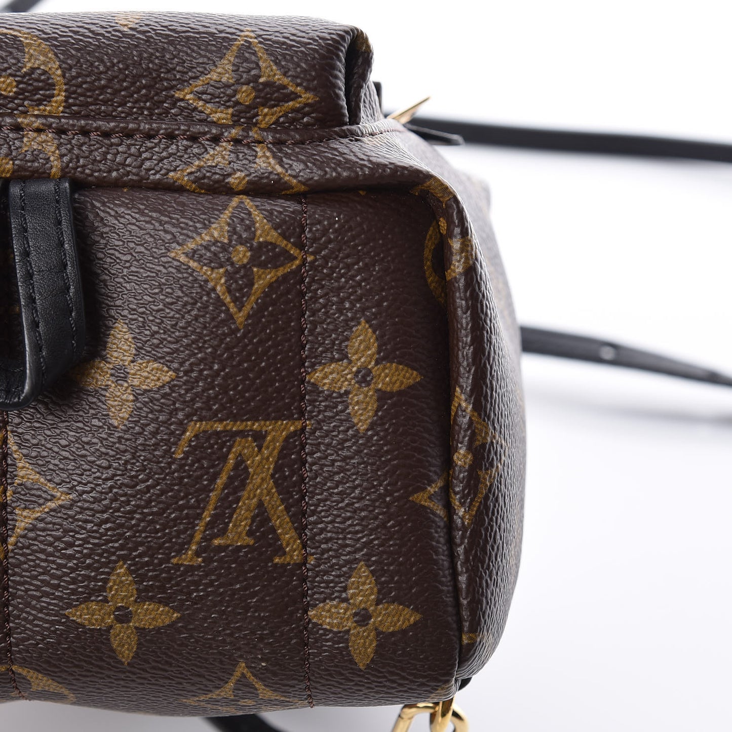 Monogram Palm Springs Backpack Mini
