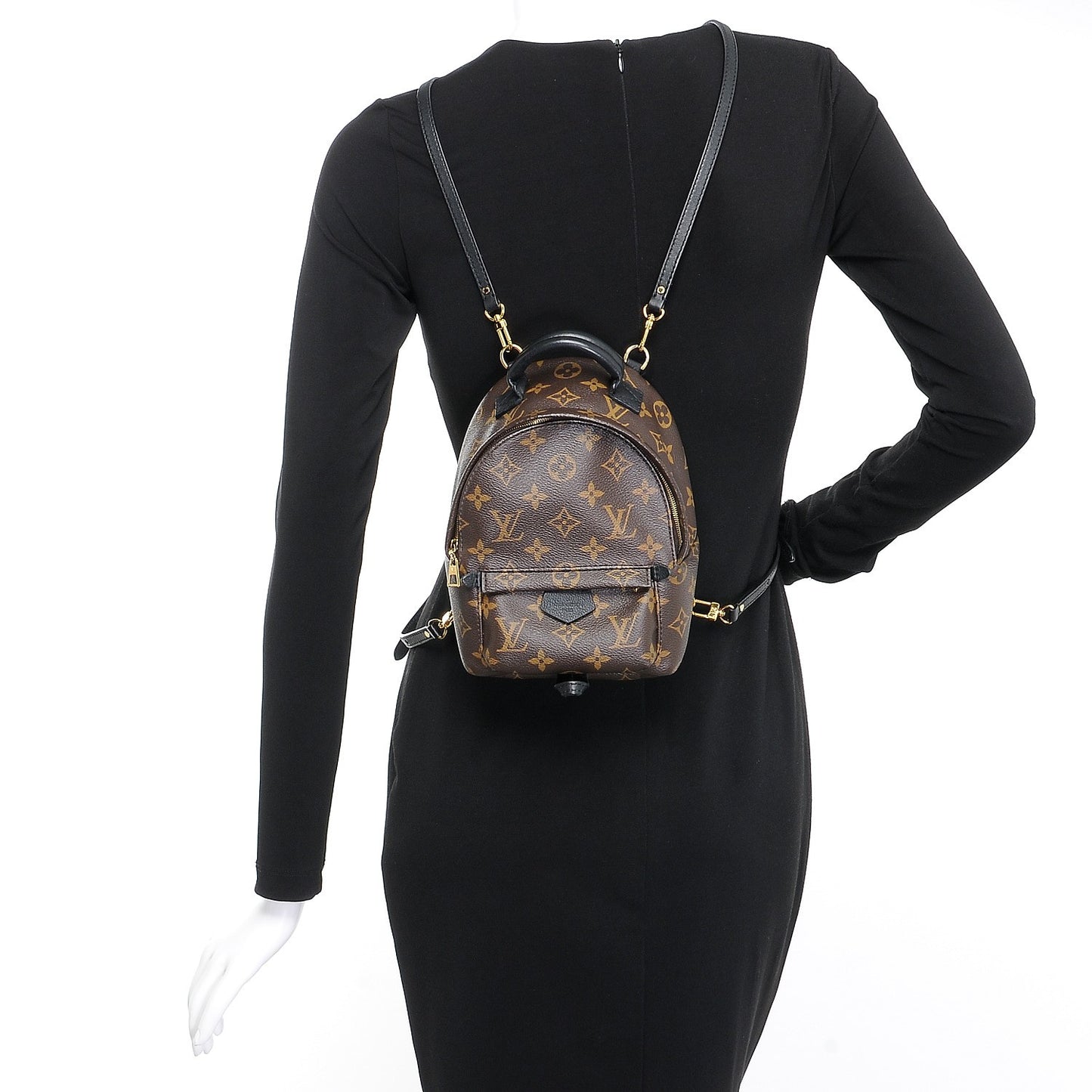 Monogram Palm Springs Backpack Mini