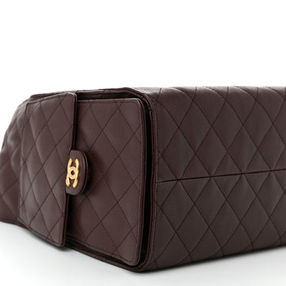 Chanel Caviar Quilted Medium Chanel 25 Handbag Dark Brown 10 of 11