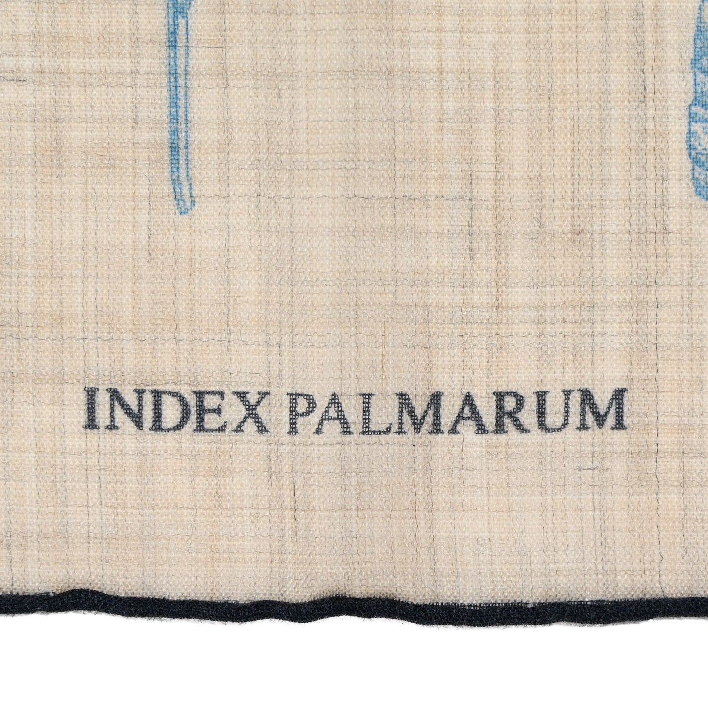Cashmere Index Palmarum Light Scarf 90 Beige Chine Anthracite Bleu
