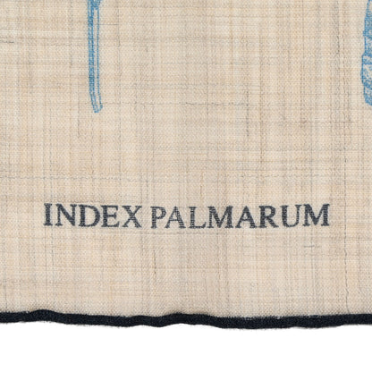 Hermes Cashmere Index Palmarum Light Scarf 90 Beige Chine Anthracite Bleu 3 of 4