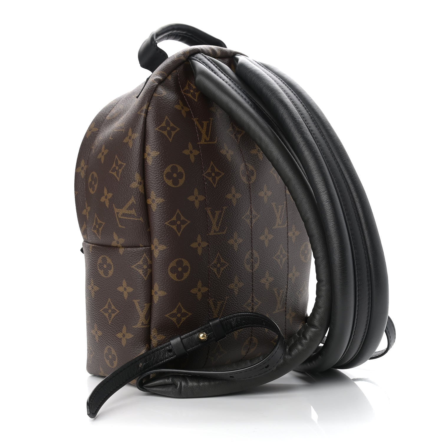Louis Vuitton Monogram Palm Springs Backpack PM 3 of 9