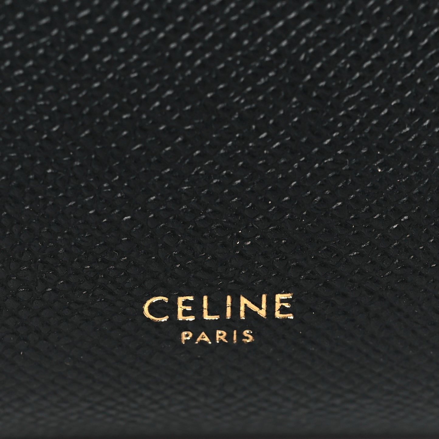 Grained Calfskin Nano Belt Bag Black