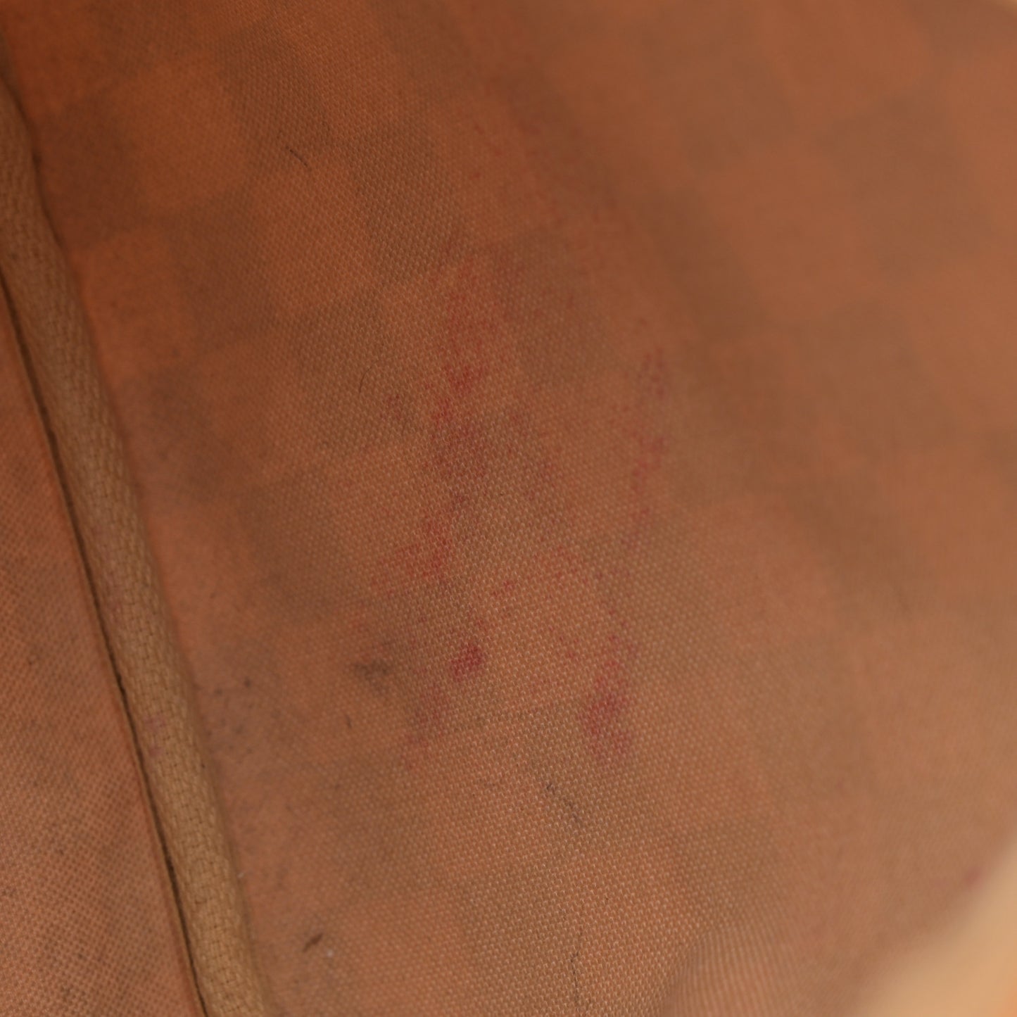 Damier Azur Speedy 30