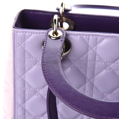 Christian Dior Lambskin Cannage Medium Tri-Color Lady Dior 15 of 17