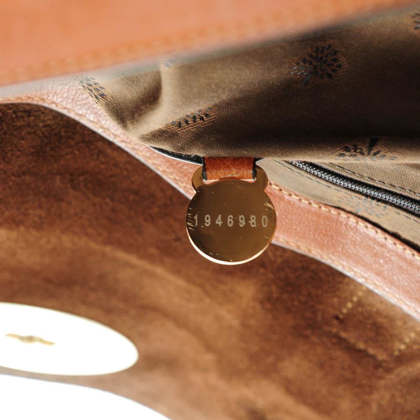 Polished Buffalo Medium Alexa Oak