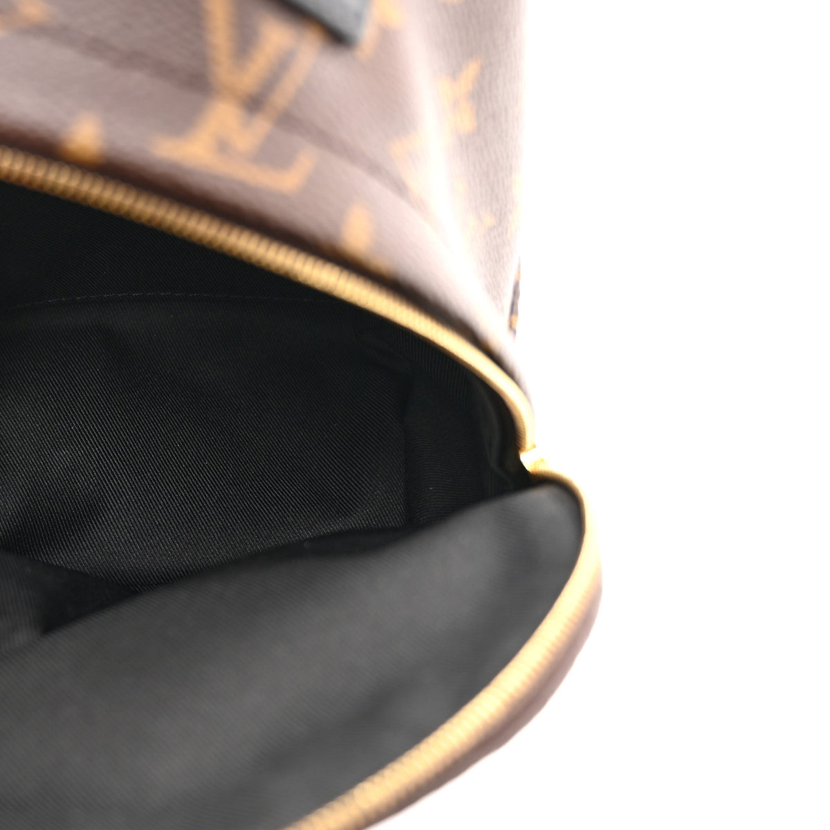 Monogram Palm Springs Backpack Mini