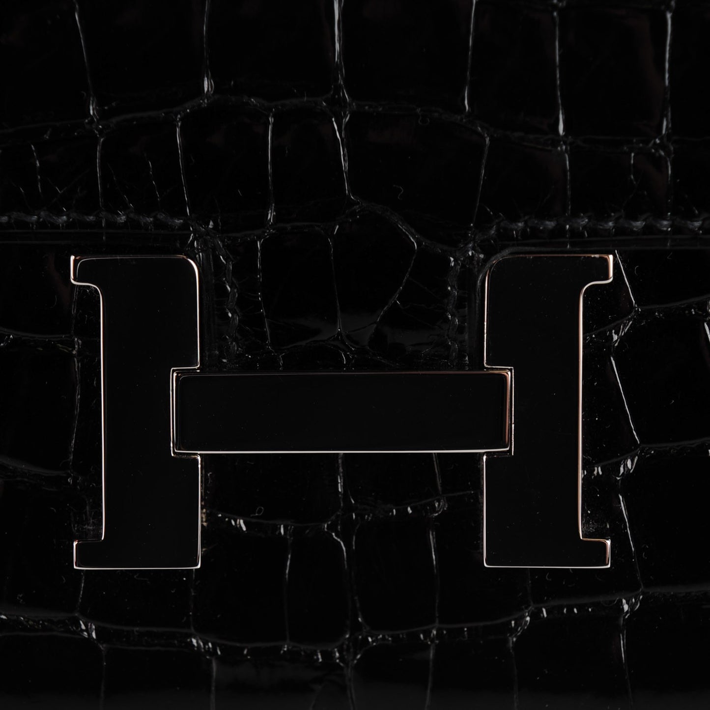 Shiny Alligator Constance Short Wallet Black