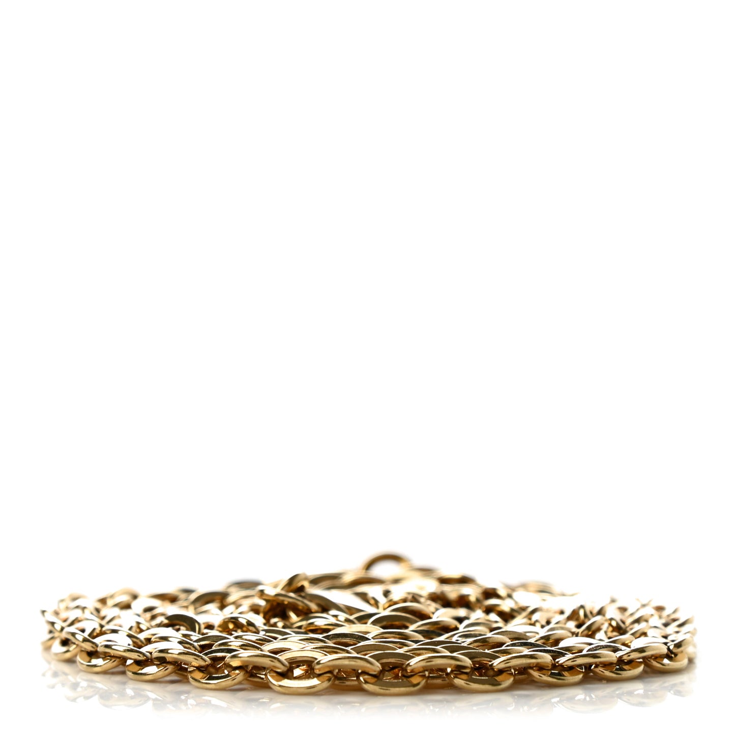 Felicie Chain Long Shoulder Strap