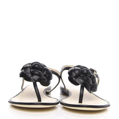 Chanel Lambskin Camellia Thong Sandals 37 Black 2 of 7
