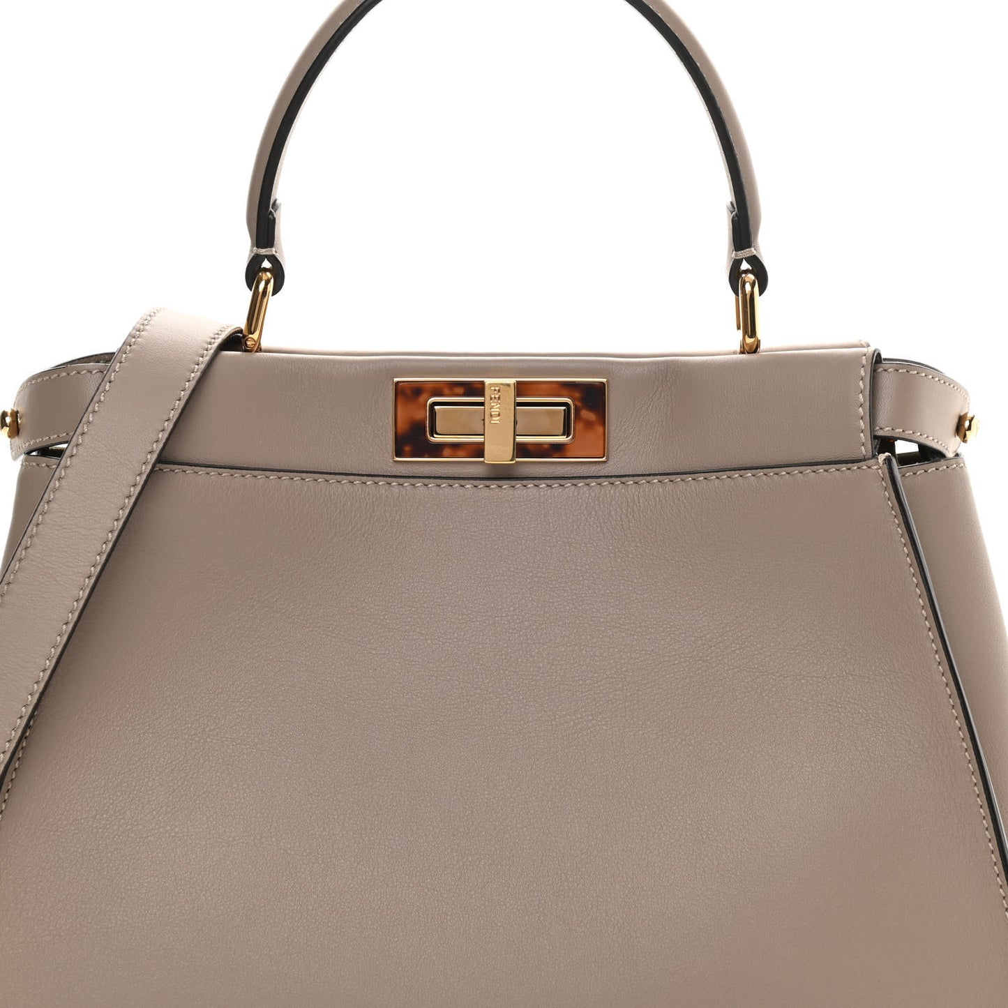 Vitello Seta Plexiglass Tortoise Medium Peekaboo Iconic Satchel Tortora
