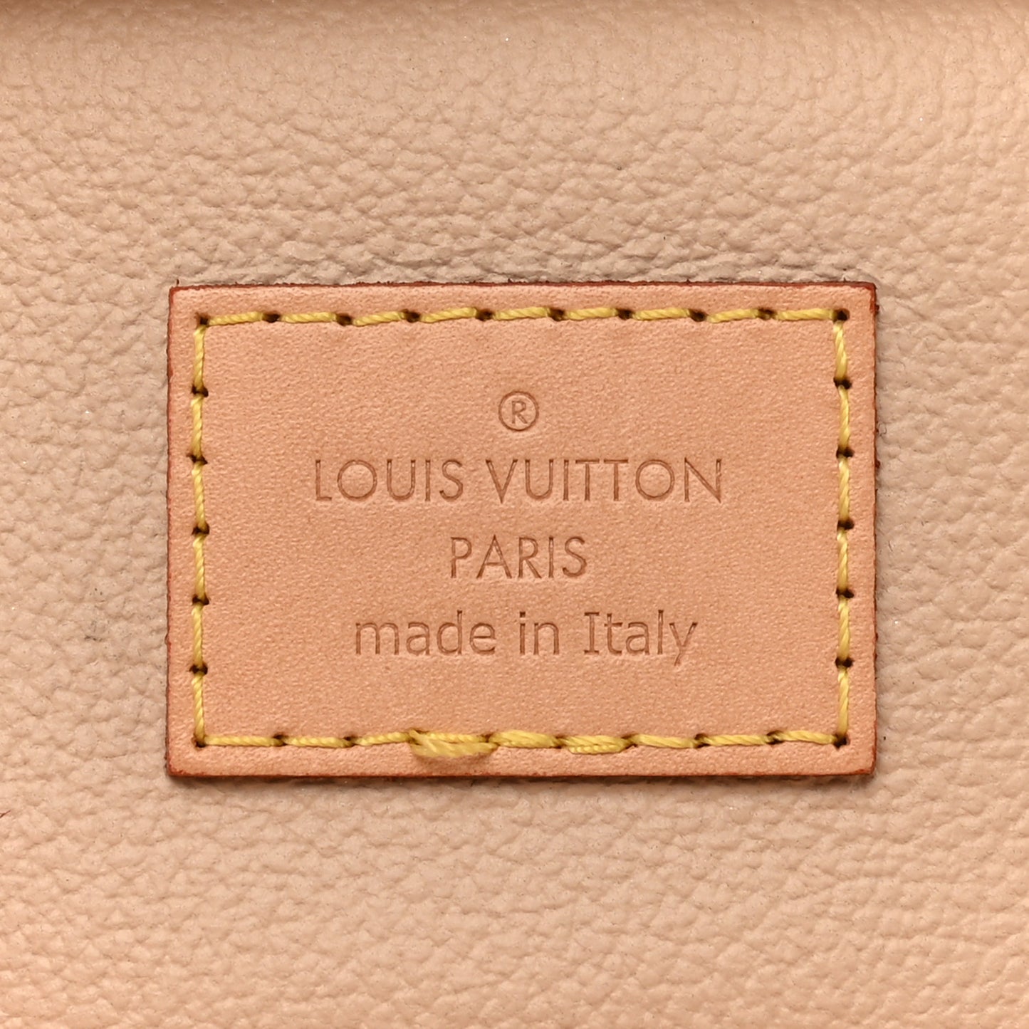 LOUIS VUITTON Monogram Nano Nice