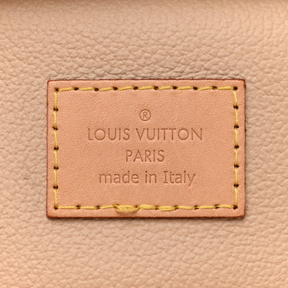 Louis Vuitton LOUIS VUITTON Monogram Nano Nice 6 of 10