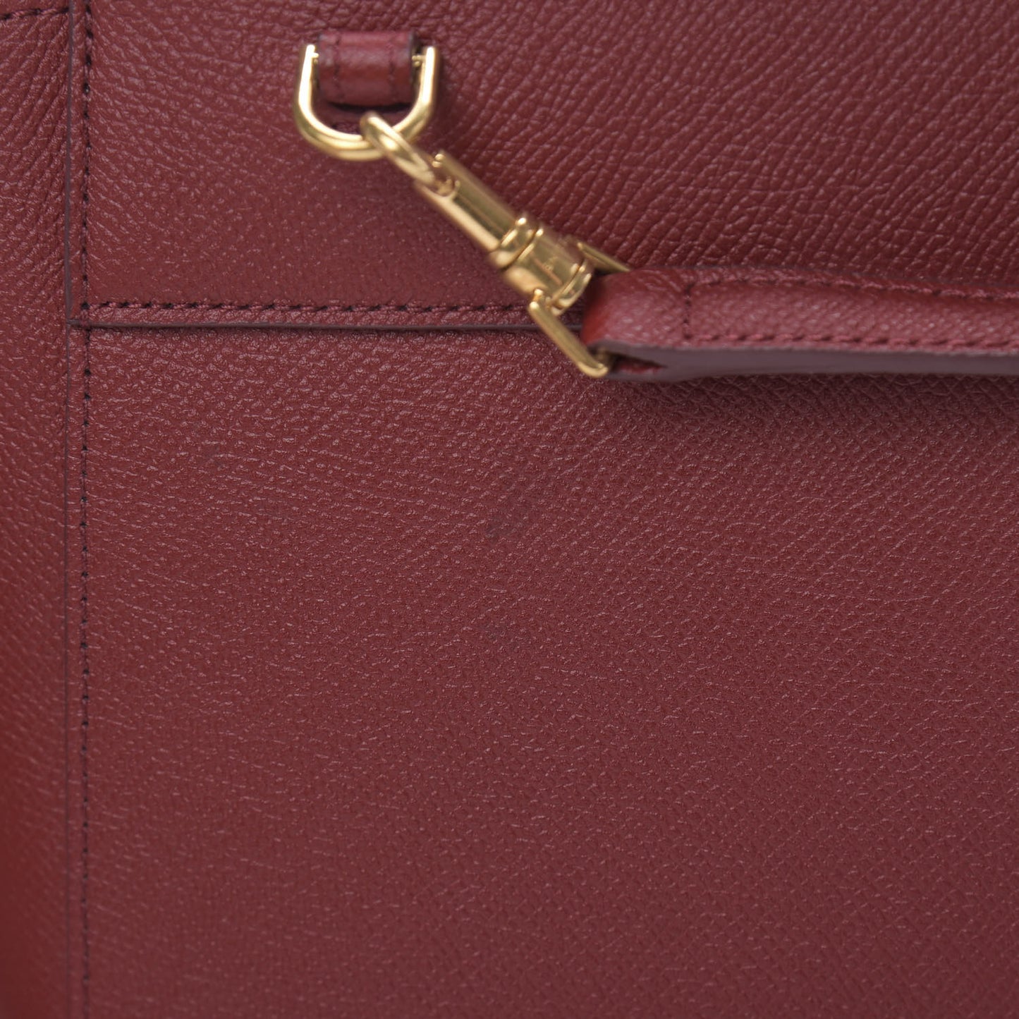 Grained Calfskin Nano Belt Bag Acai
