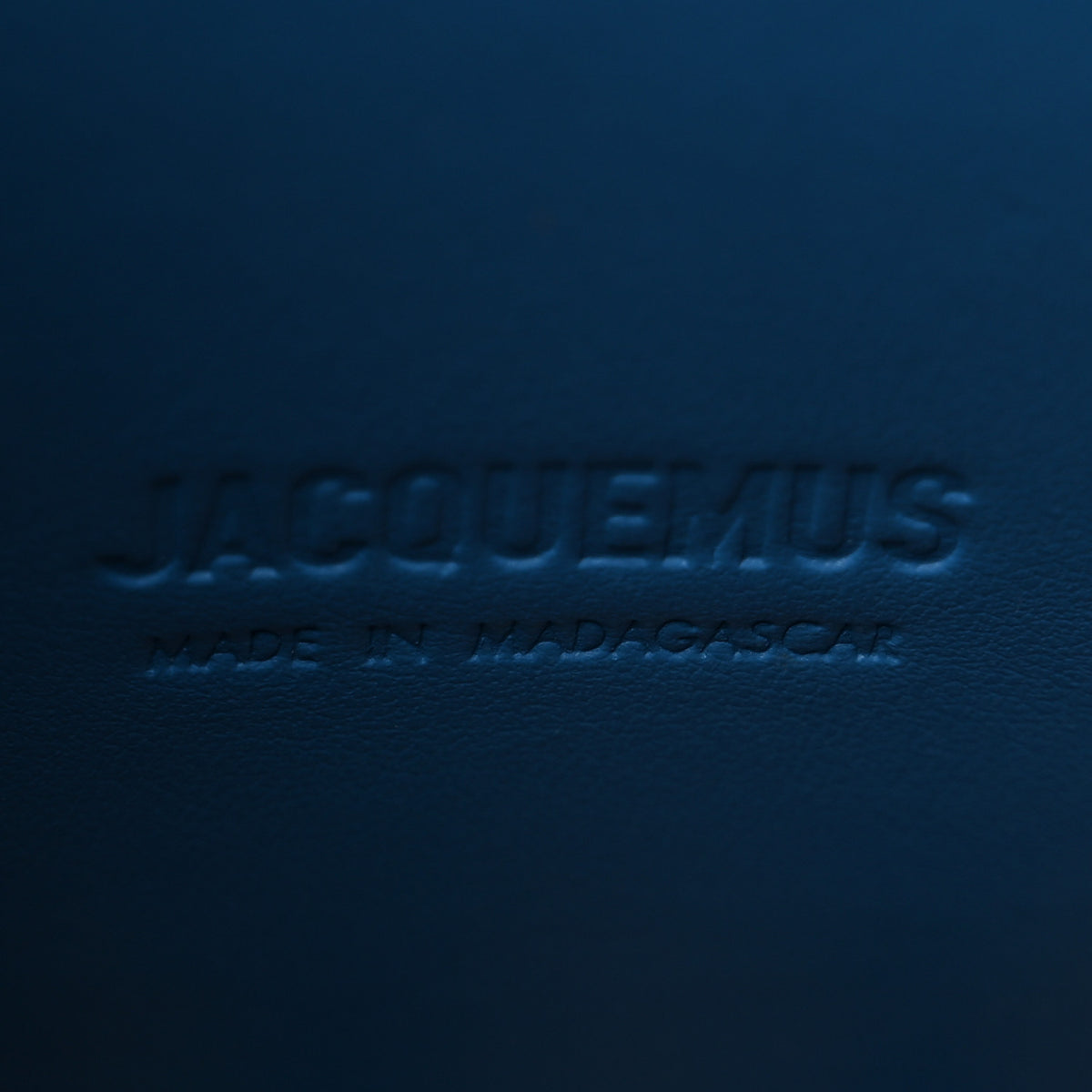 Jacquemus Raffia Le Petit Turismo Blue Natural 6 of 10