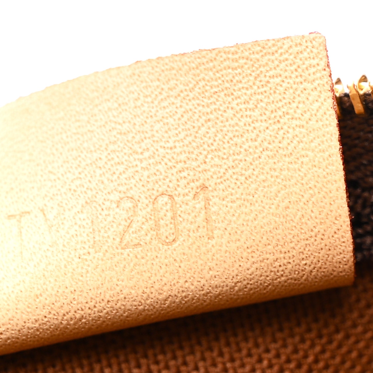Monogram Nano Speedy