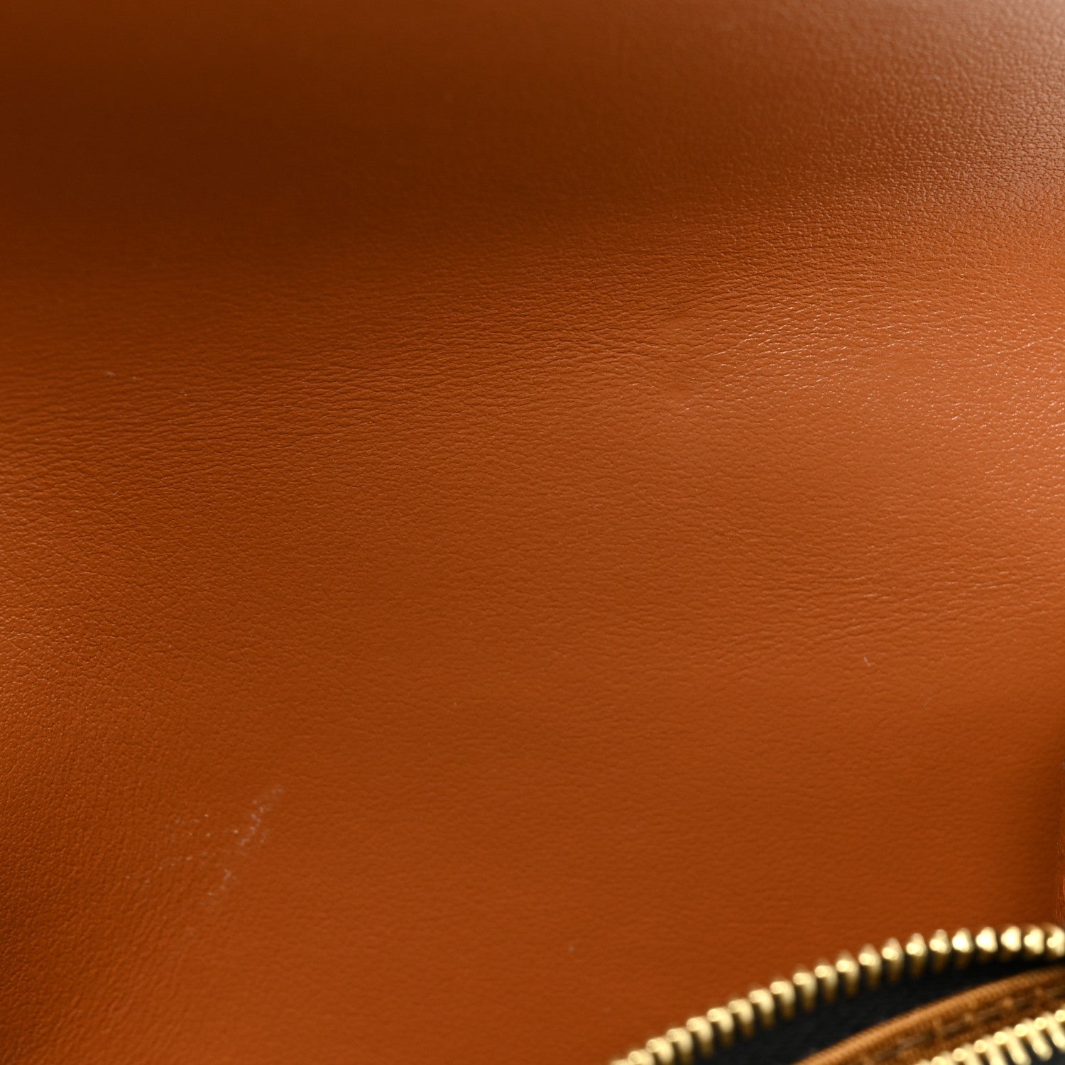 Celine Triomphe Canvas Lambskin Wallet On Strap Tan 10 of 13